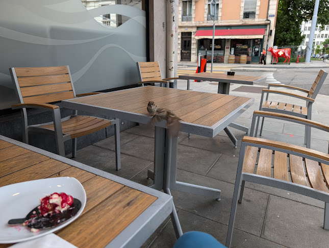 Bd de Saint-Georges 65, 1205 Genève