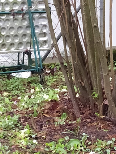 Farmers Market Frauenfeld - Frauenfeld