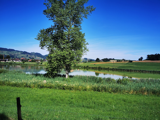 Opinii despre Erlebnisland Grizzlybär în Forst-Längenbühl - Gastronomie und Hotellerie