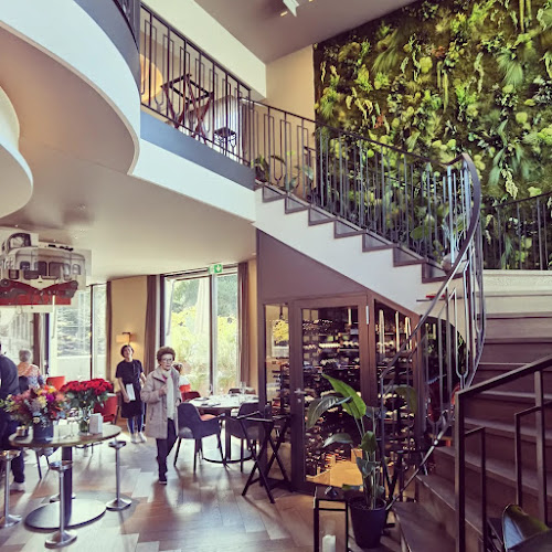 Comentarii opinii despre La Micheline