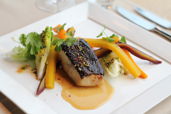 Comentarii opinii despre elemänt