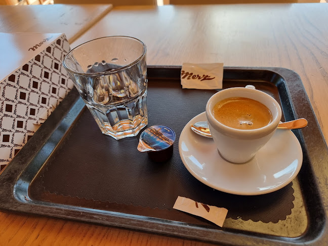 Merz Rossboden Chur - Chur