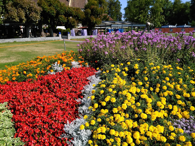 Opinii despre Schifflände în Arbon - Gastronomie und Hotellerie