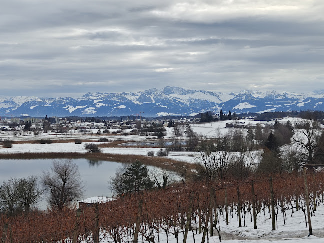 Juckerhof, Jucker Farm AG