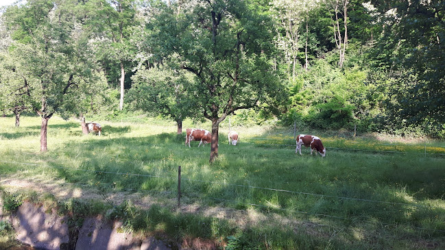 Via E. O. Bally 1, 6943 Vezia