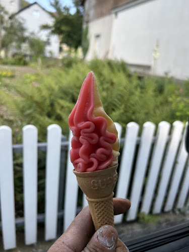 Opinii despre Banilli Soft Ice Automati în Kleindietwil - Gastronomie und Hotellerie