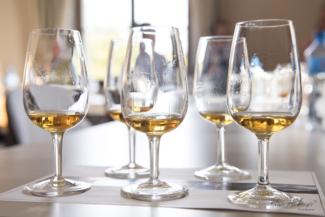 Comentarii opinii despre Vino Time