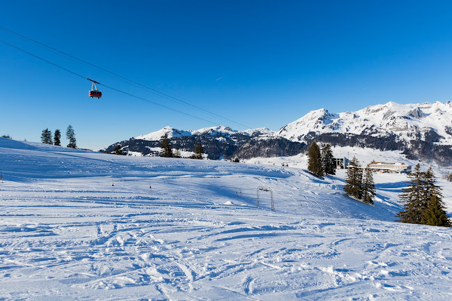 Comentarii opinii despre Iltios