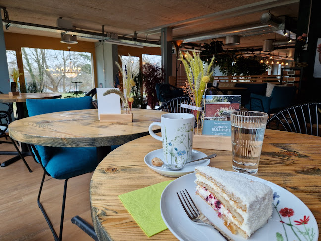 Comentarii opinii despre Fleur de Soleure