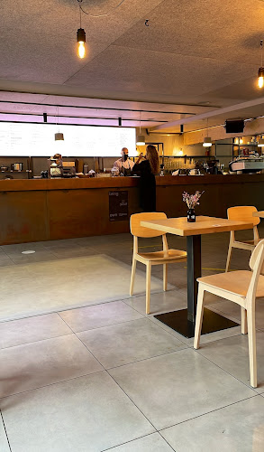 Comentarii opinii despre Roots