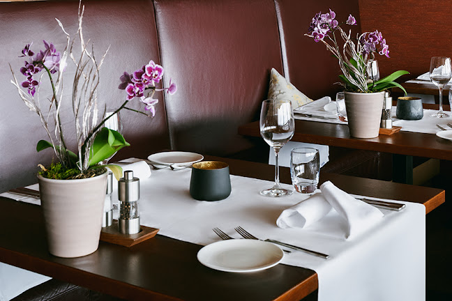 Comentarii opinii despre Collina