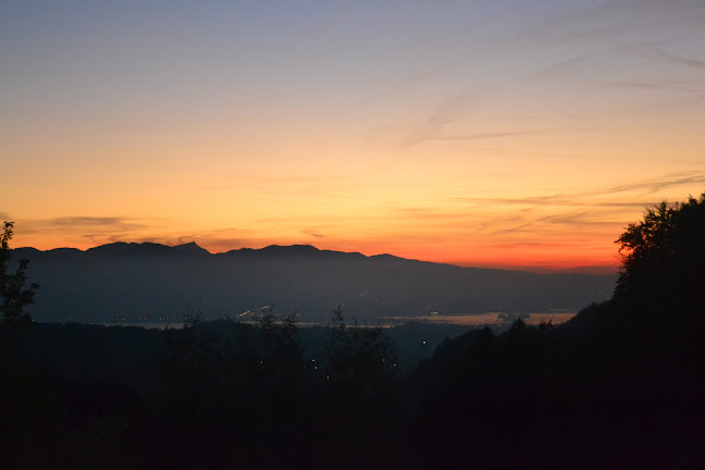 Restaurant Freihof - Gastronomie und Hotellerie