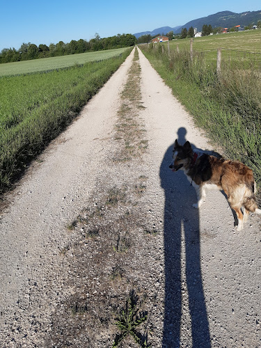 Opinii despre Walker Tannenhof în Bettlach - Gastronomie und Hotellerie