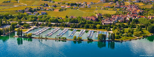 Croquignolet - Auvernier