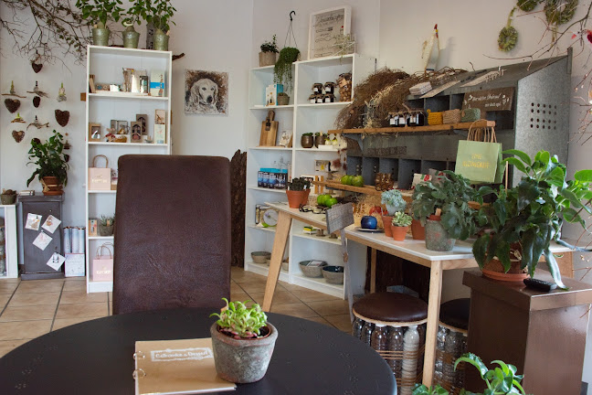 Comentarii opinii despre Filigran Café und Shop GmbH