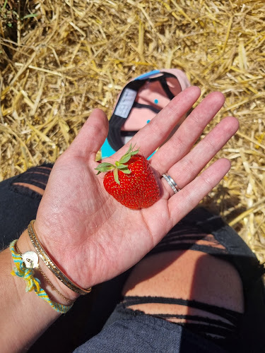 Denis + Samuel Pache - Romanel-sur-Lausanne