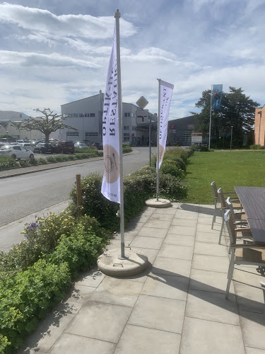 Heinrich-Wild-Strasse 210, 9435 Heerbrugg