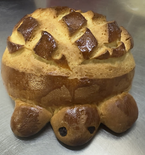 Maborzet 41, 1973 Nax