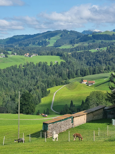 Haldenstrasse 2, 9633 Hemberg