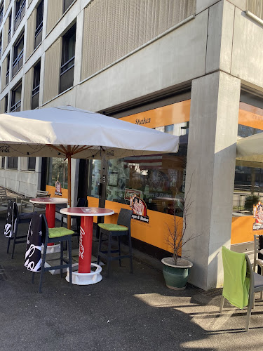 Boulevard Lilienthal 23, 8152 Opfikon