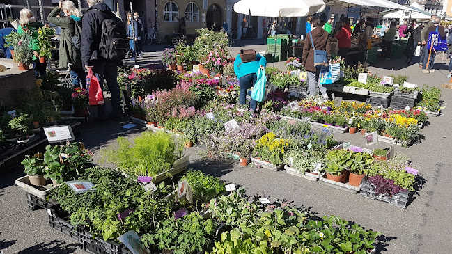 Steinberggasse 26, 8400 Winterthur