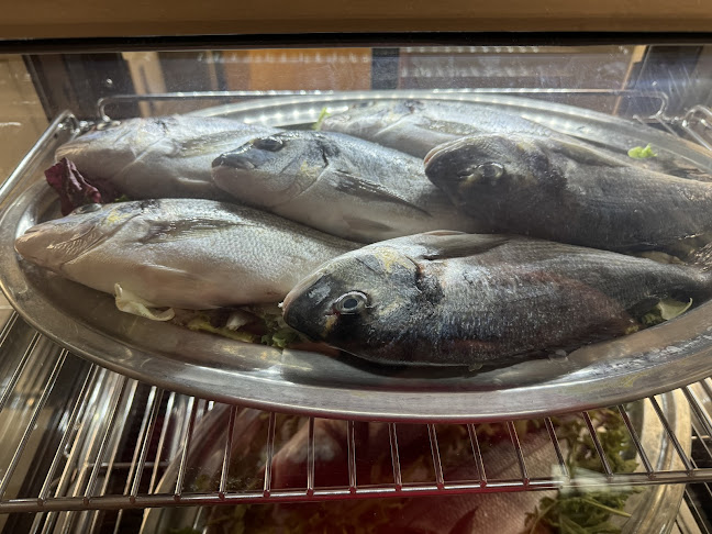 Avis Blutspendeverein - Cham