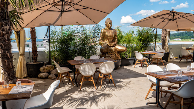 Comentarii opinii despre Noah Lyssach