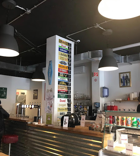 Comentarii opinii despre BELGA