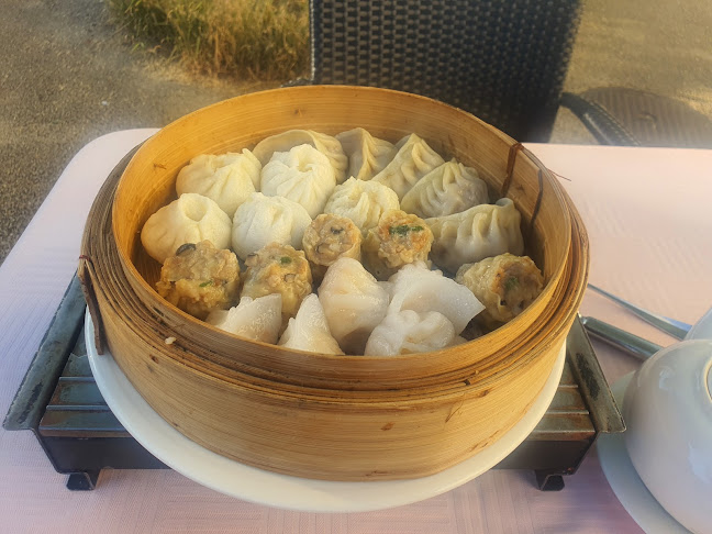 Comentarii opinii despre Le Canard Intelligent