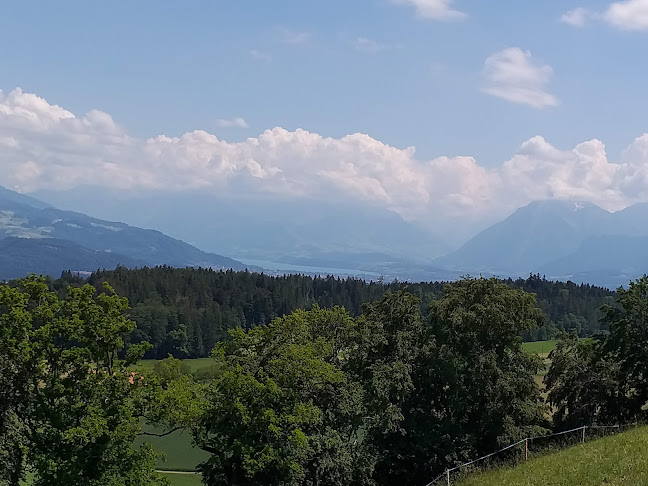 Comentarii opinii despre Panorama Restaurant Chutze