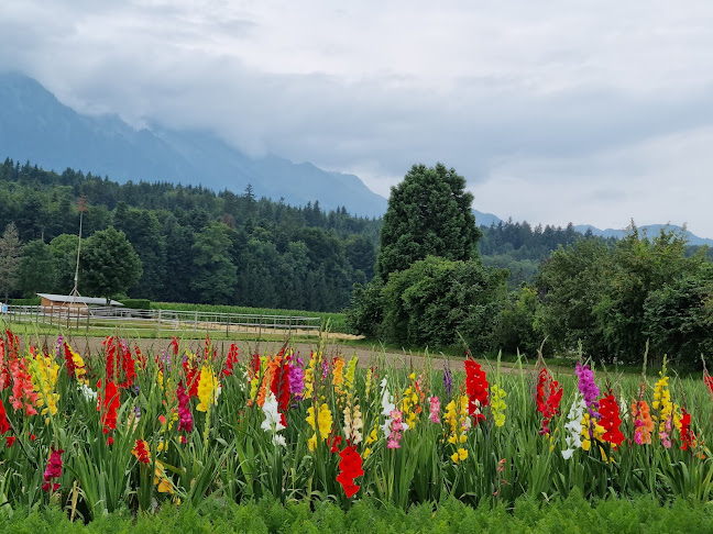 C. F. L. Lohnerstrasse, 3645 Gwatt