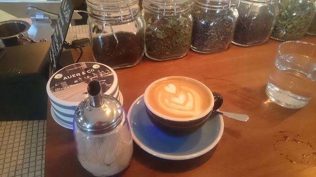 Comentarii opinii despre Auer & Co.