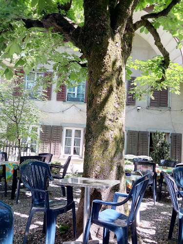 Opinii despre Zum Rebstock în Langenthal - Gastronomie und Hotellerie