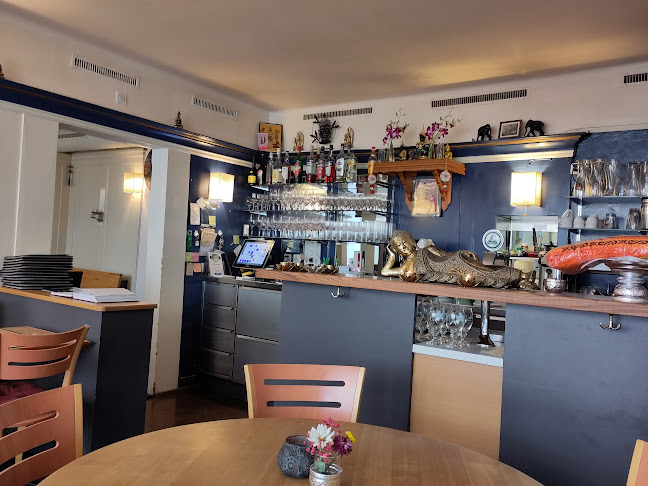 Bambus - Schaffhausen