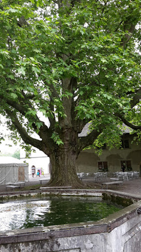 Königsfelden, 5210 Windisch