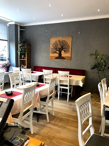 Comentarii opinii despre Moshool