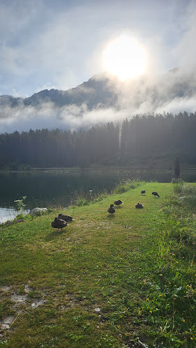 Central Pub - Gastronomie und Hotellerie