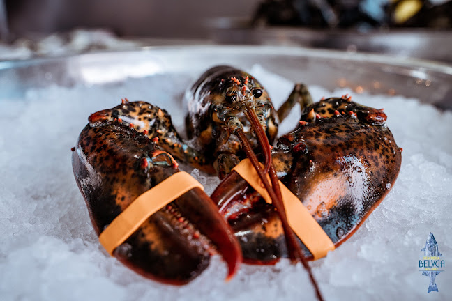 Ristorante Pescheria Belvga - Gastronomie und Hotellerie