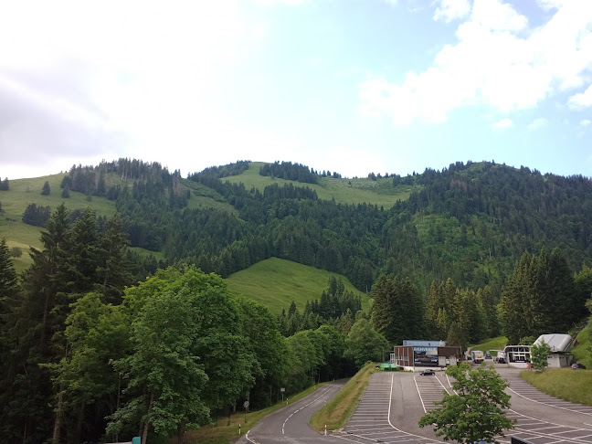 Rte du Moléson 228, 1663 Moléson-Village