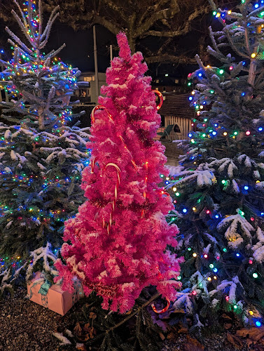 Opinii despre Gasthaus Albisgütli în Zürich - Gastronomie und Hotellerie