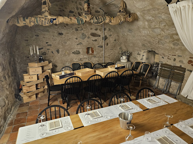 Comentarii opinii despre Barrique Baden