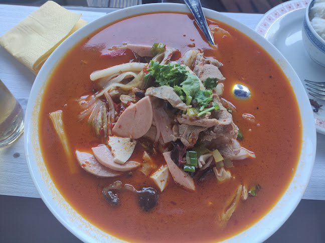 Restaurant Henan 河南人家 - Renens