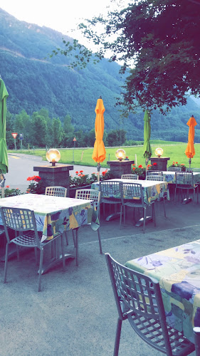 Comentarii opinii despre Horgenberg