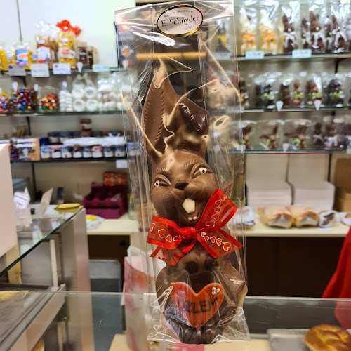 Opinii despre Schnyder Erich în Horgen - Gastronomie und Hotellerie