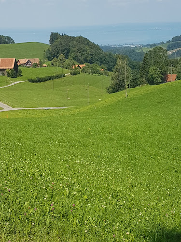 Comentarii opinii despre Schwarzer Bären