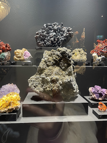 Comentarii opinii despre Dino-Beiz'li