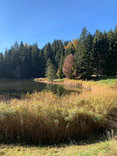 Opinii despre Hôtel Auberge du Lac-des- Joncs în Les Paccots - Gastronomie und Hotellerie