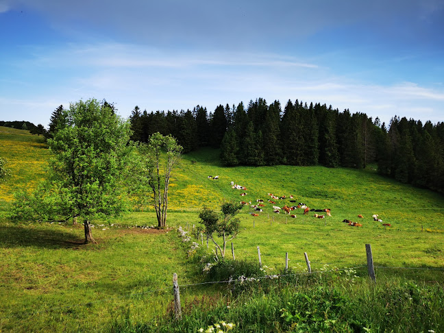 Comentarii opinii despre la Baronne