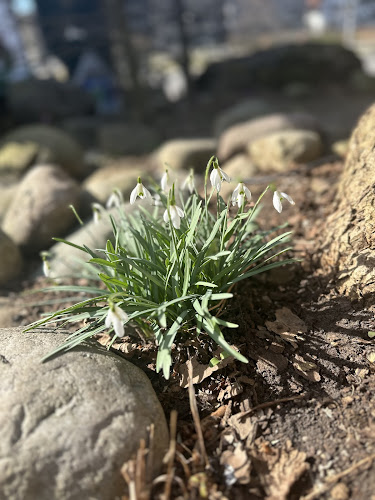 Kempttalstrasse 52, 8308 Illnau-Effretikon