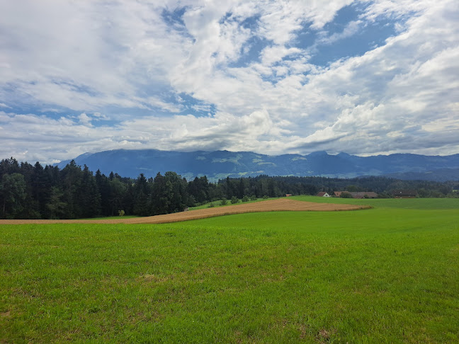 Rickenstrasse 810, 8735 St. Gallenkappel